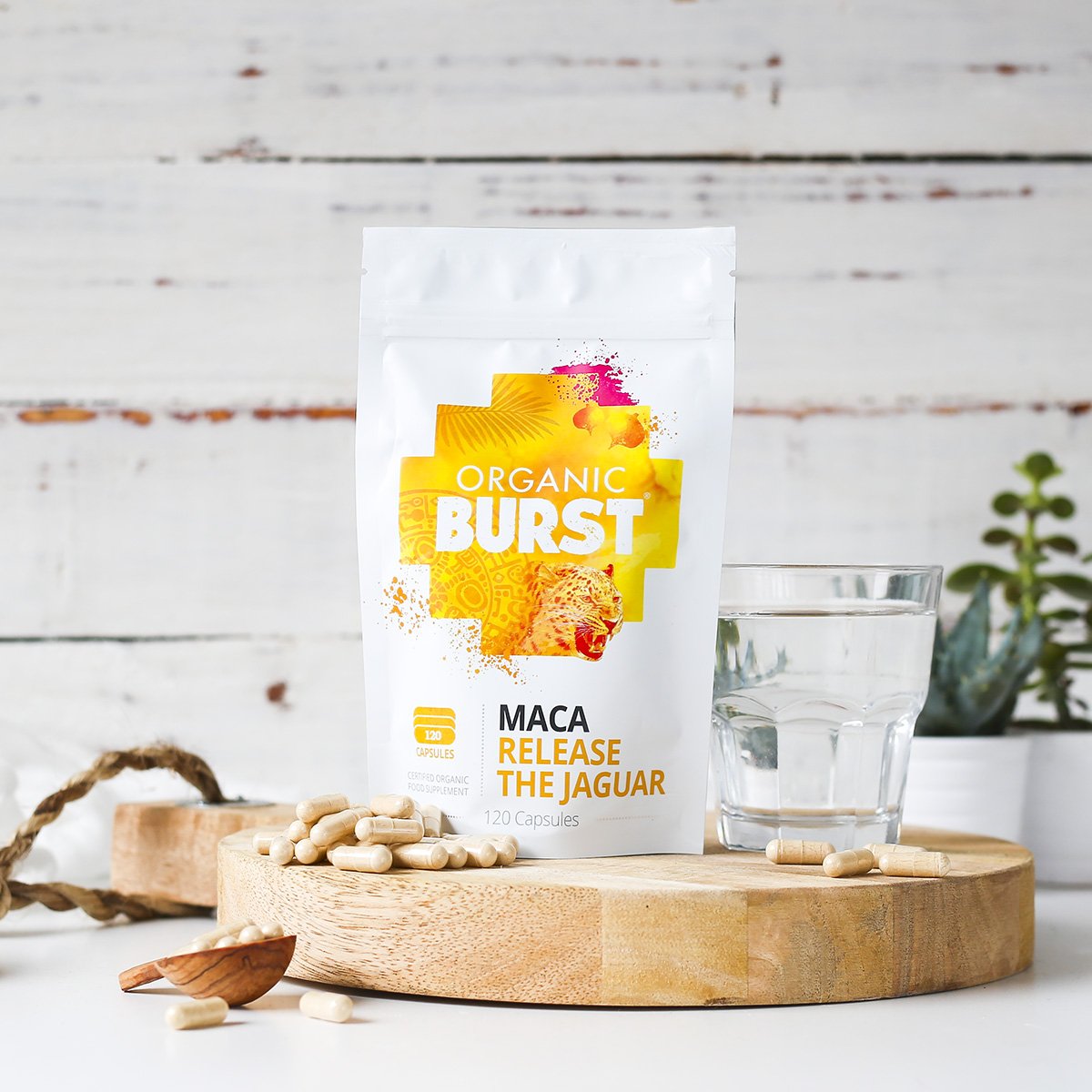 Maca (Bundle)